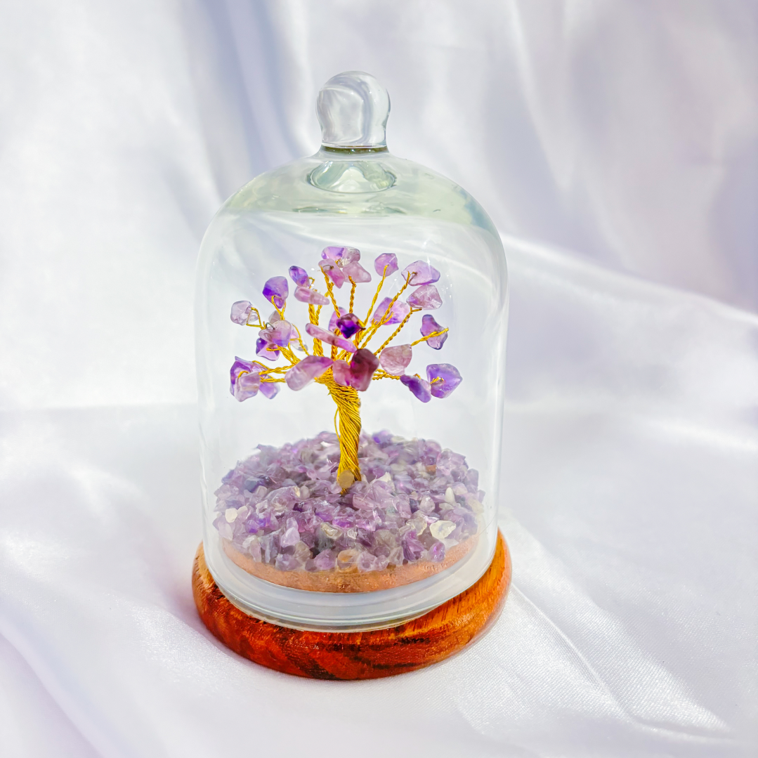 Amethyst Dome Tree