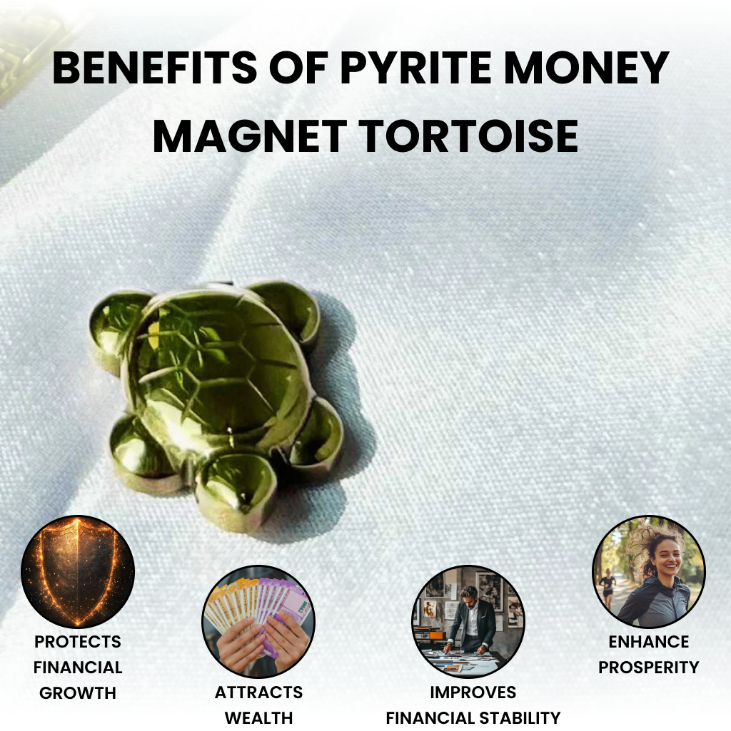 Money Magnet Tortoise